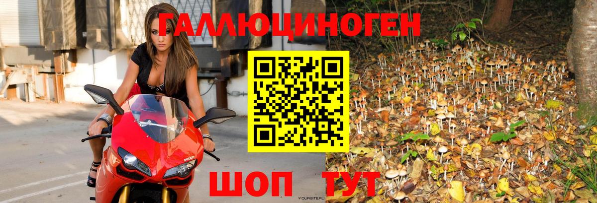 Галлюциногенные грибы мицелий Кыштым