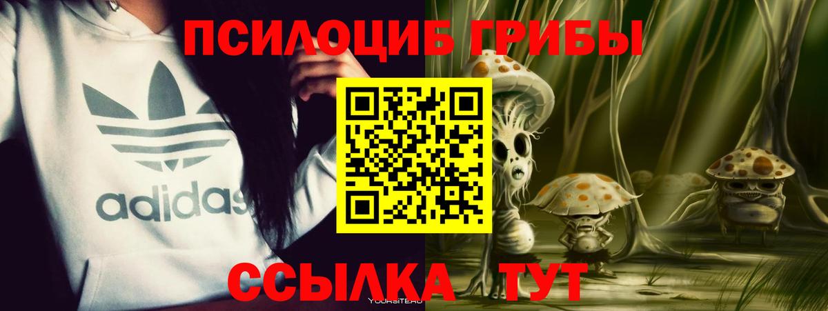 Галлюциногенные грибы MAGIC MUSHROOMS  Вход с VPN  Кыштым 