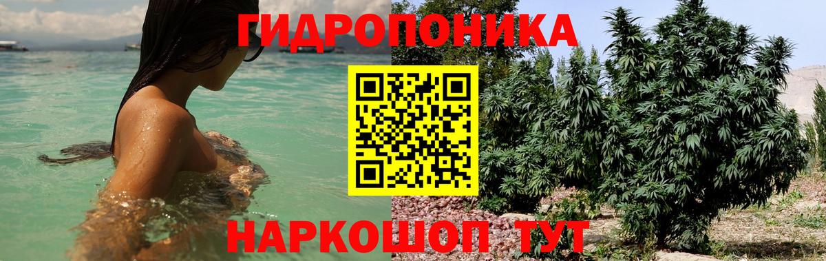 Канабис ГИДРОПОН Кыштым